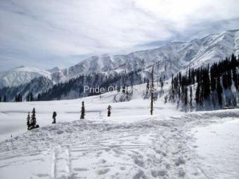 Gulmarg